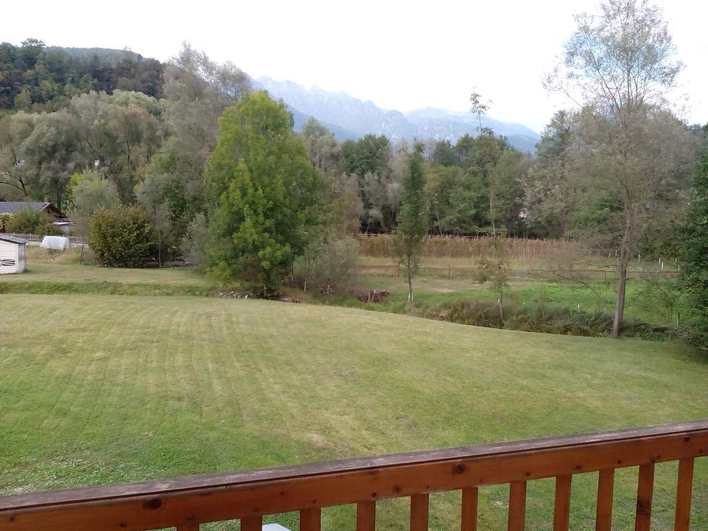 Agriturismo Il Girasole Feltre Exterior foto